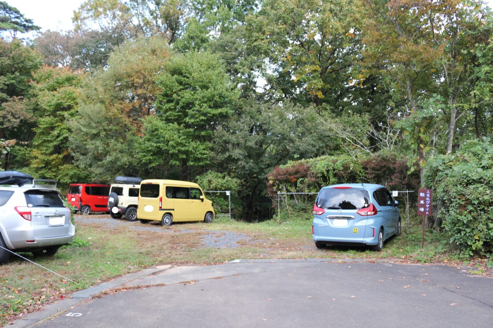 こもれびサイト