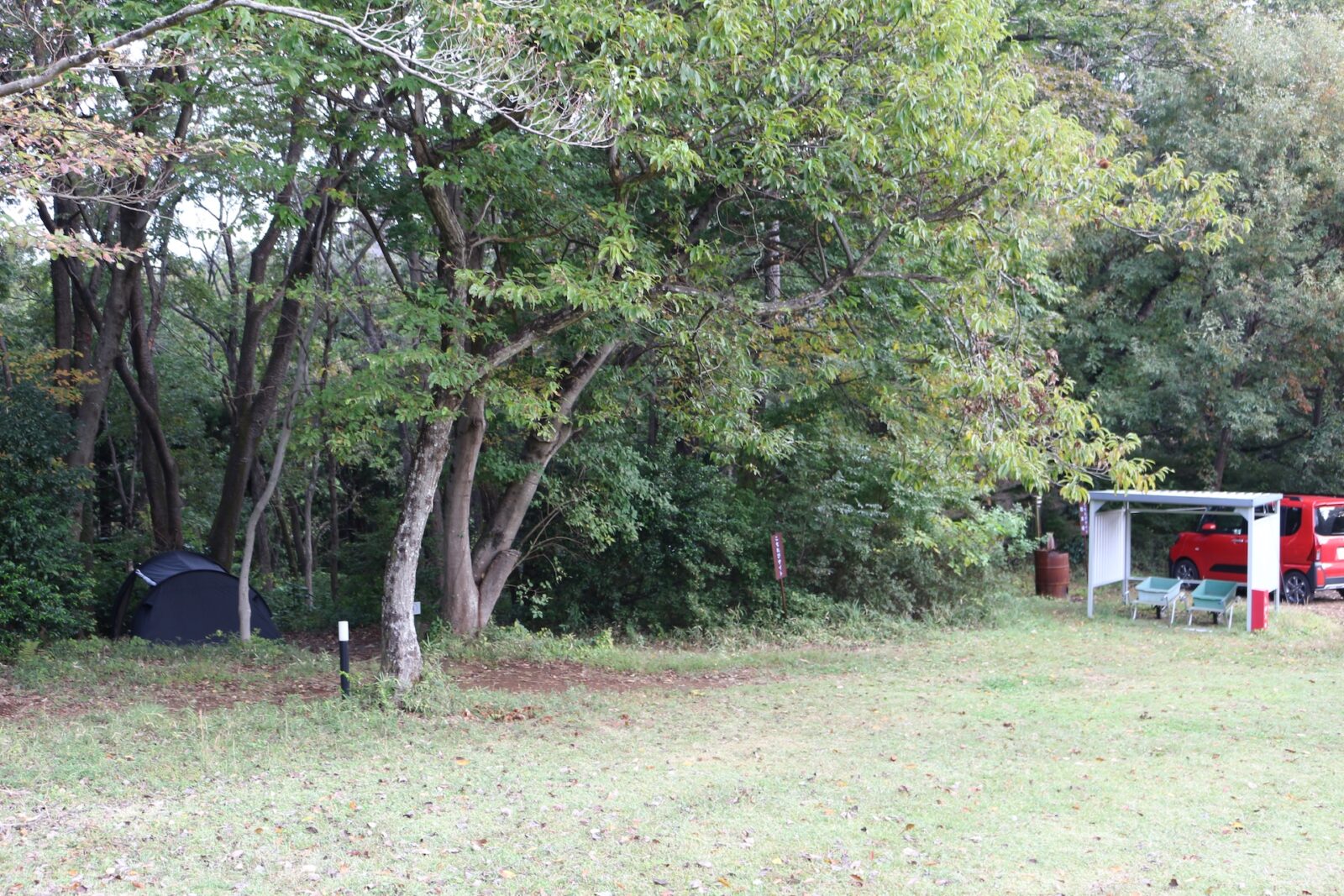 こもれびサイト