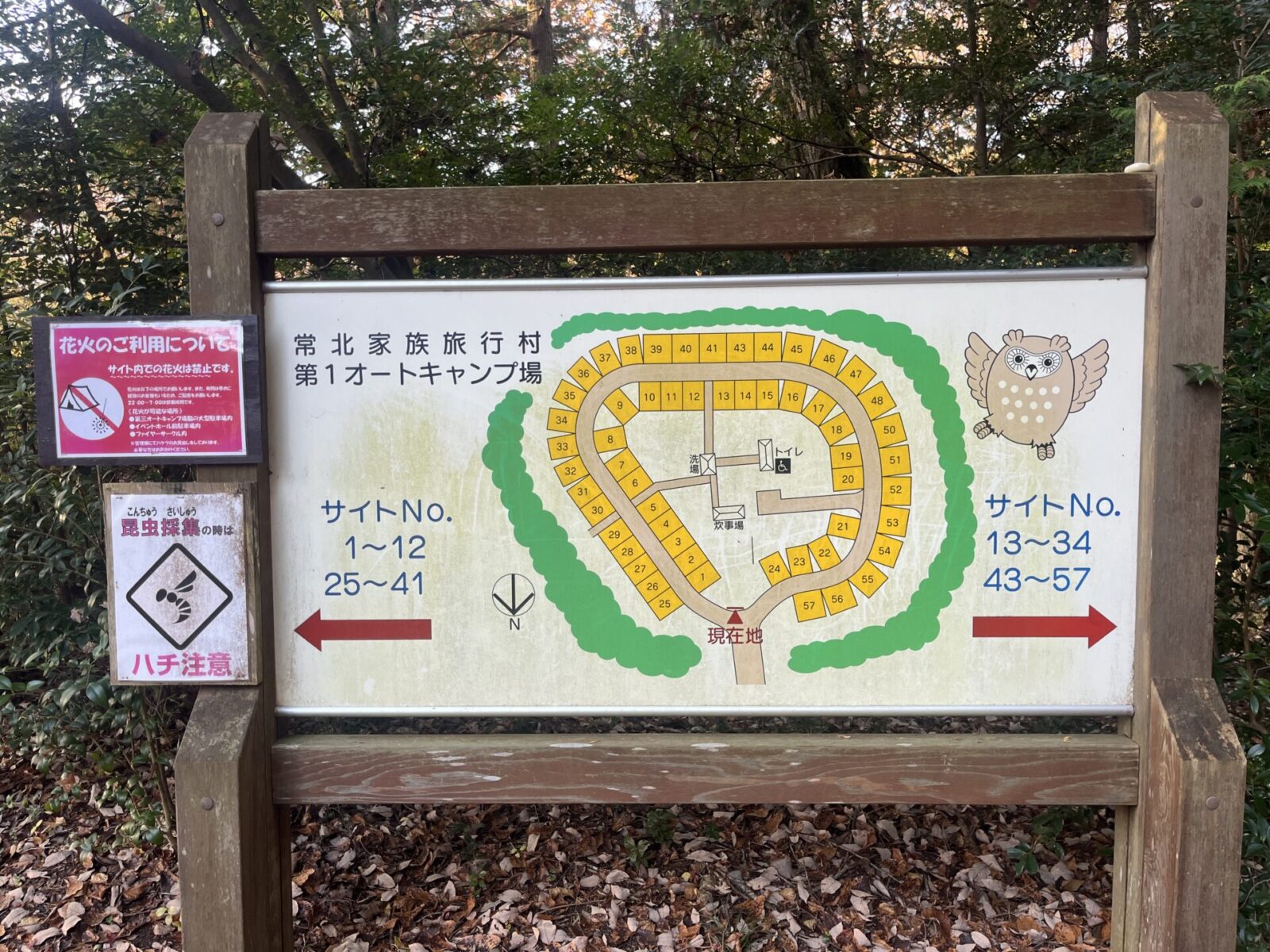 第１オートキャンプ場